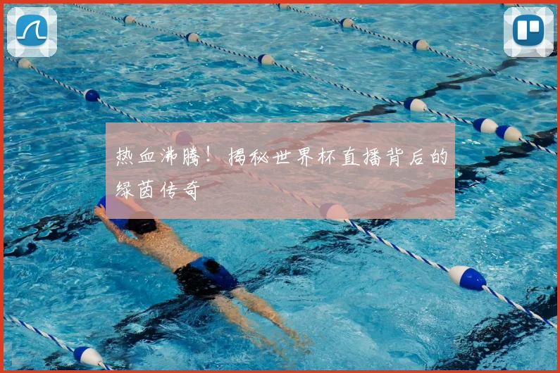 热血沸腾!揭秘世界杯直播背后的绿茵传奇